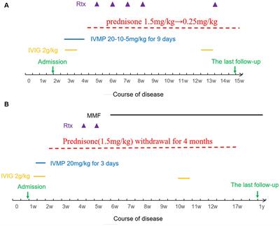 Clinical analysis and literature review of two paediatric cases of anti-IgLON5 antibody-related encephalitis